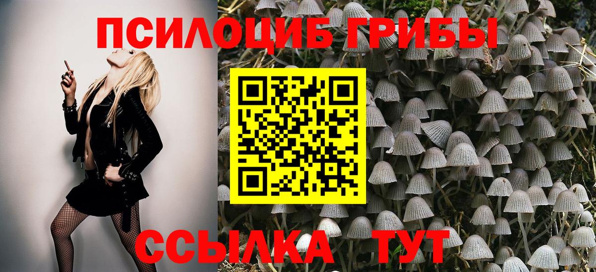Галлюциногенные грибы Psilocybe Клин