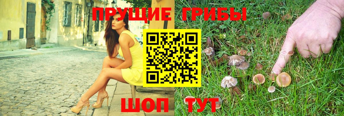 Псилоцибиновые грибы мицелий  Вход с VPN  Клин 